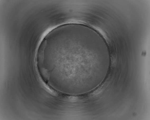 X0000096971371200802151259