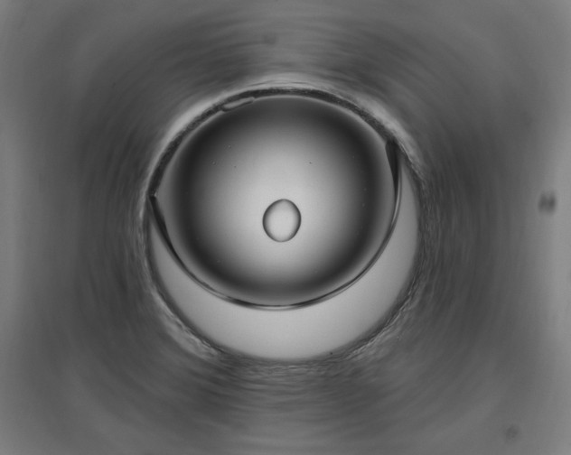 X0000096971372200802151259