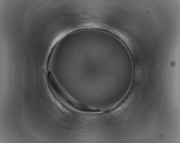 X0000096971373200802151259