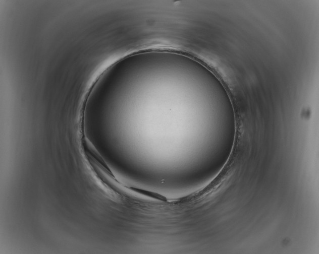 X0000096971375200802151259