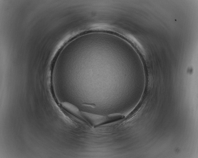 X0000096971376200802151259