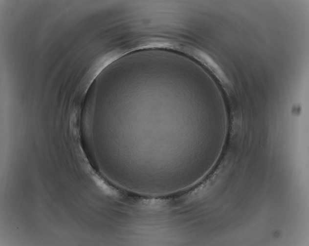 X0000096971377200802151259