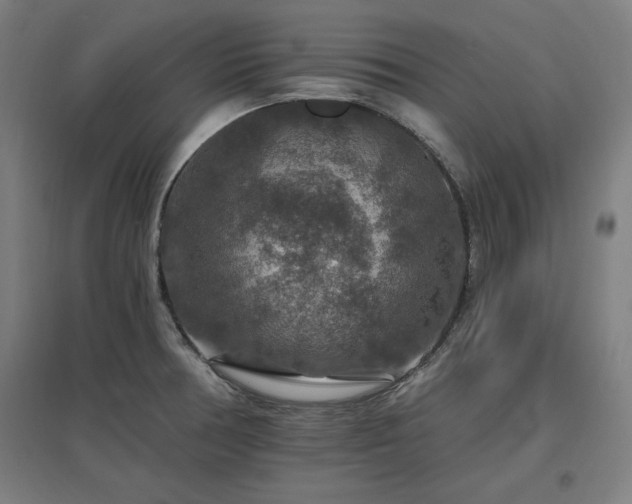 X0000096971378200802151259