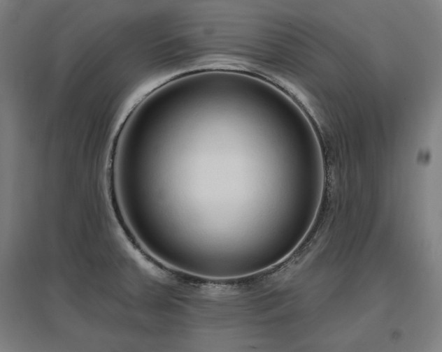 X0000096971379200802151259