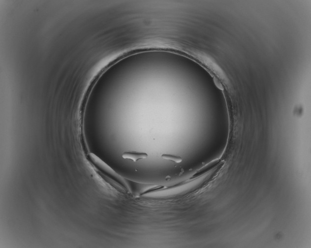 X0000096971380200802151259