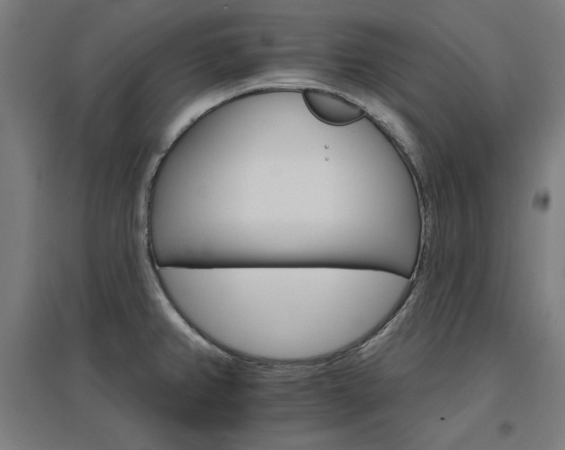 X0000096971382200802151258