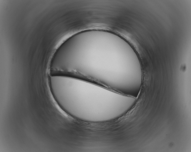 X0000096971383200802151258