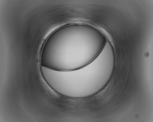 X0000096971384200802151258