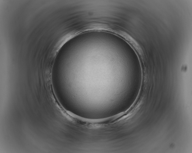 X0000096971385200802151258