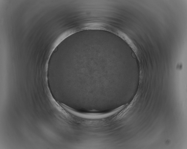 X0000096971386200802151258