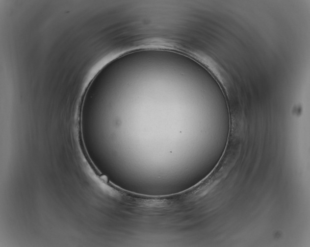 X0000096971387200802151258