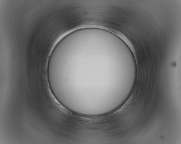 X0000096971388200802151258