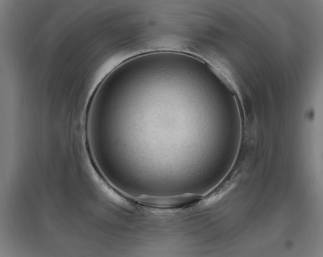 X0000096971389200802151258