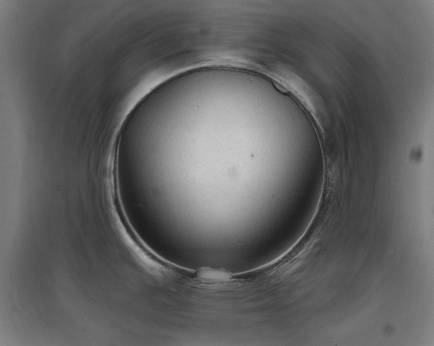 X0000096971391200802151258
