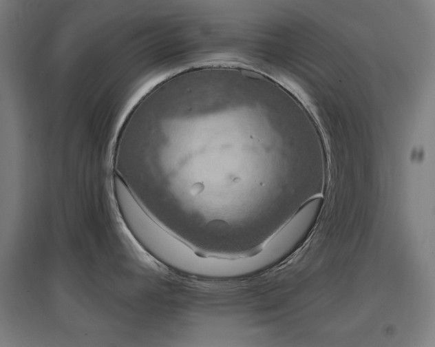 X0000096971392200802151258