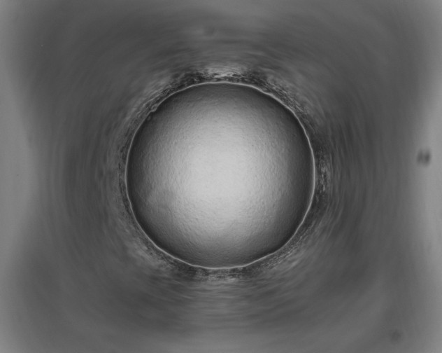X0000096971393200802151258