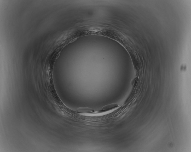 X0000096971394200802151258