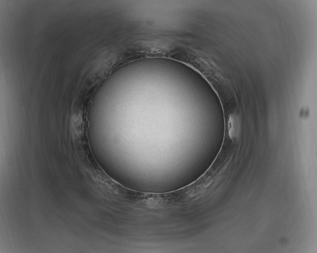 X0000096971395200802151258