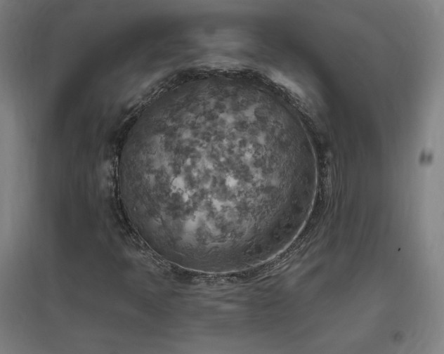 X0000096971397200802151258