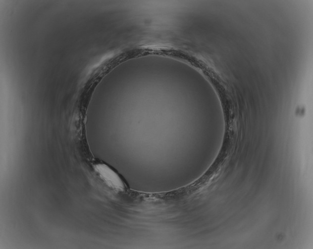 X0000096971398200802151258