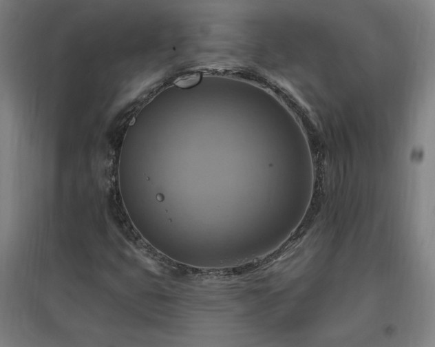X0000096971399200802151258