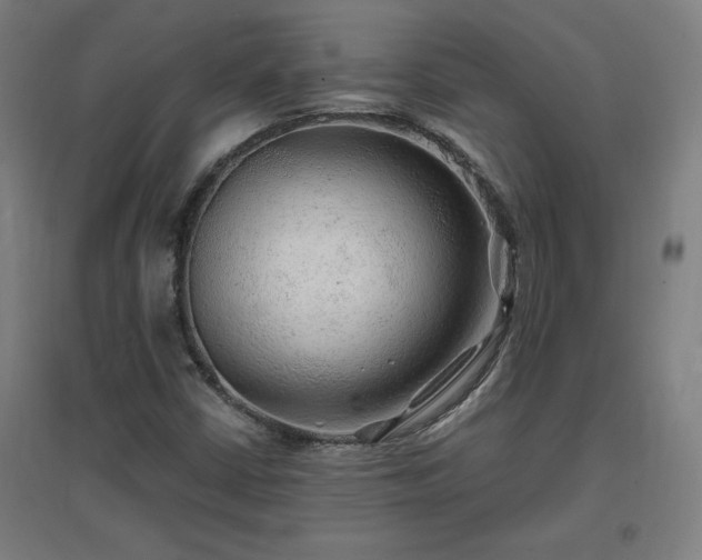 X0000096971402200802151258