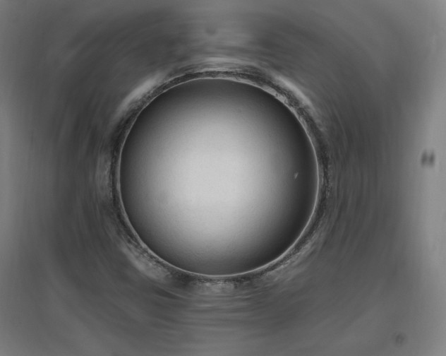 X0000096971403200802151258