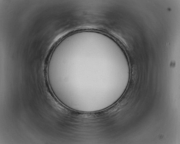 X0000096971404200802151258