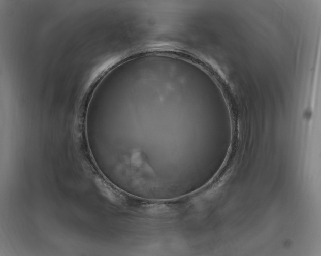 X0000096971405200802151258