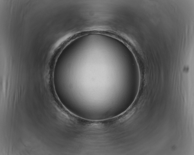 X0000096971406200802151258