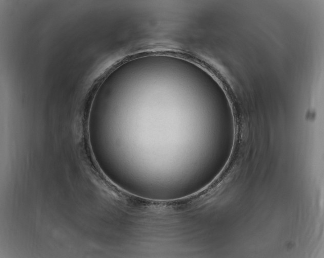 X0000096971407200802151258
