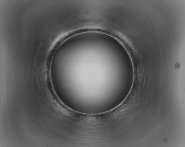 X0000096971408200802151258