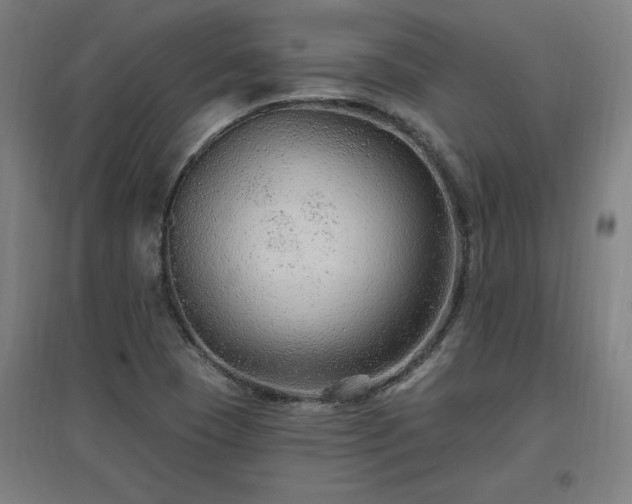 X0000096971409200802151258