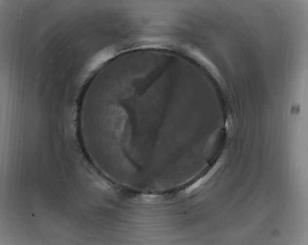 X0000096971411200802151258