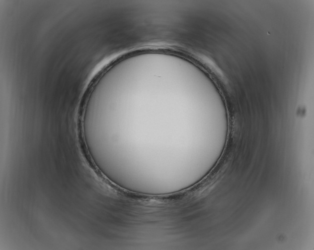 X0000096971412200802151258