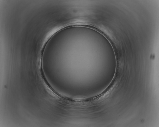 X0000096971413200802151258