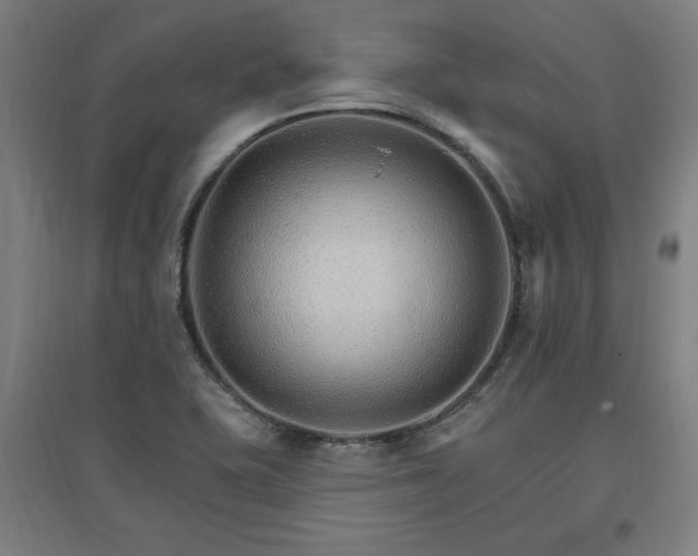X0000096971415200802151258