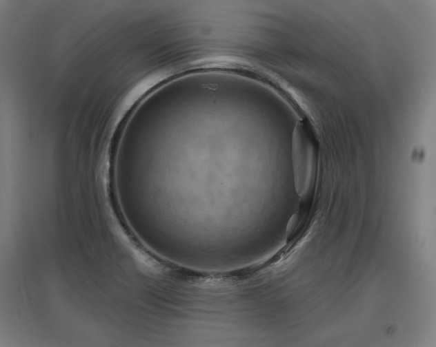 X0000096971418200802151258