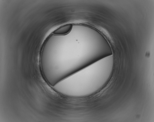 X0000096971420200802151258