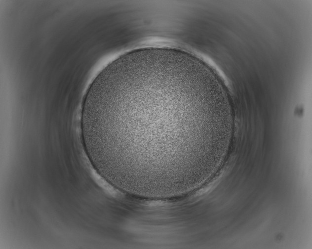 X0000096971421200802151258