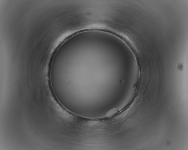 X0000096971422200802151258