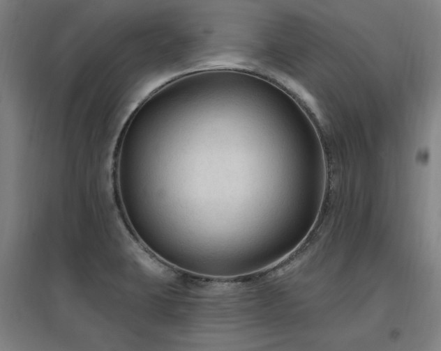 X0000096971423200802151258