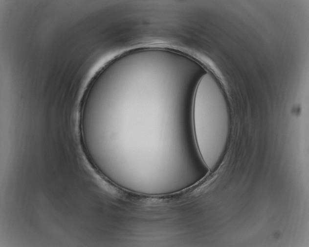 X0000096971424200802151258