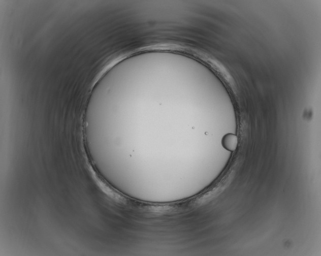 X0000096971425200802151258