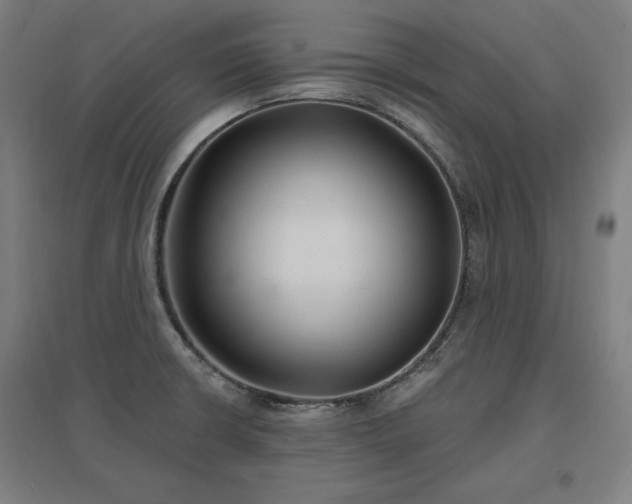 X0000096971426200802151258