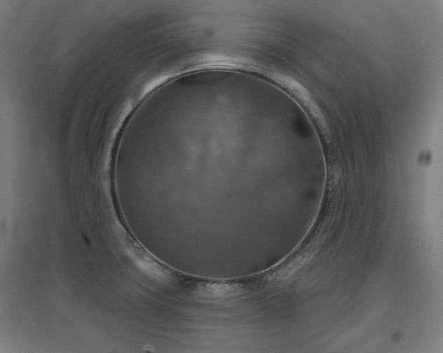 X0000096971427200802151258