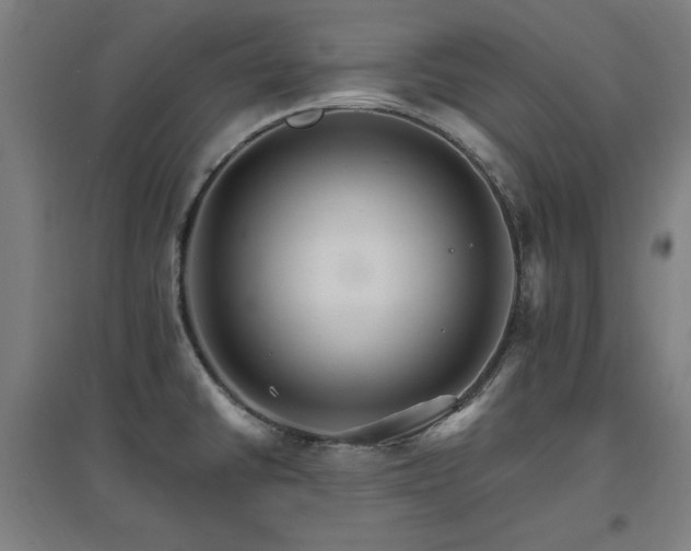 X0000096971430200802151258