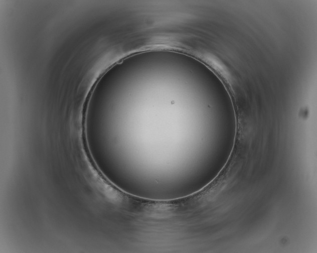 X0000096971431200802151258