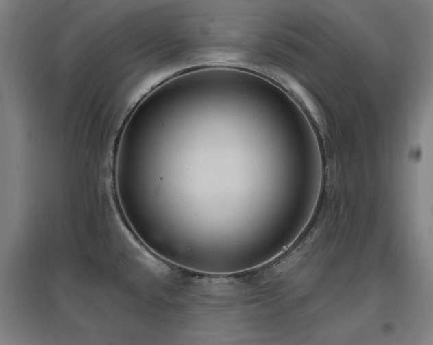 X0000096971432200802151258