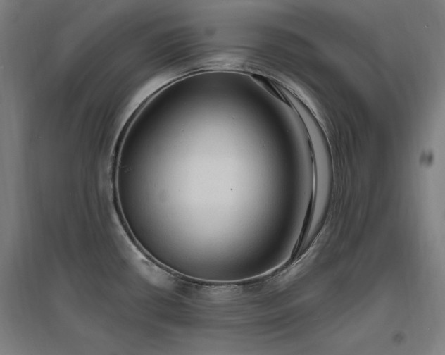X0000096971434200802151258